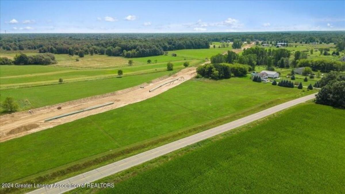 Picture of Residential Land For Sale in Laingsburg, Michigan, United States