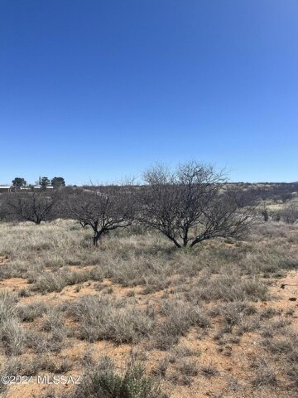 Picture of Residential Land For Sale in Benson, Arizona, United States