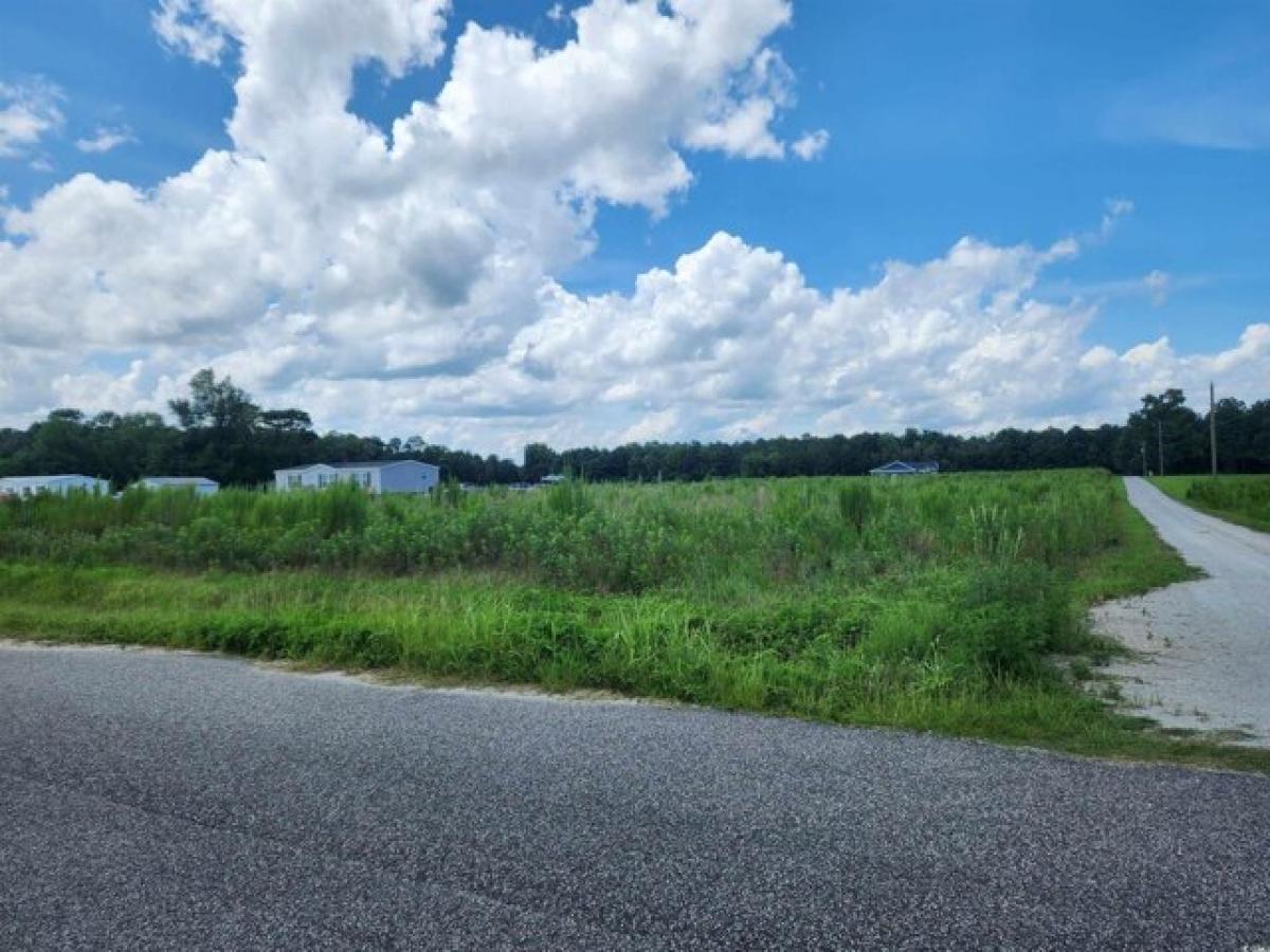 Picture of Residential Land For Sale in Loris, South Carolina, United States