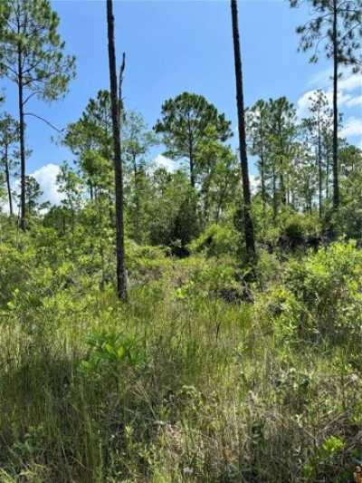 Residential Land For Sale in Satsuma, Florida