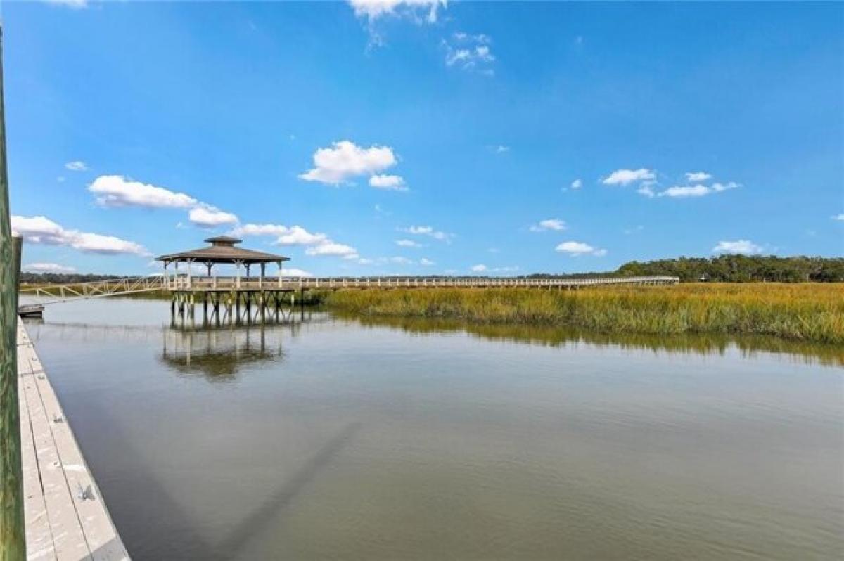 Picture of Residential Land For Sale in Townsend, Georgia, United States