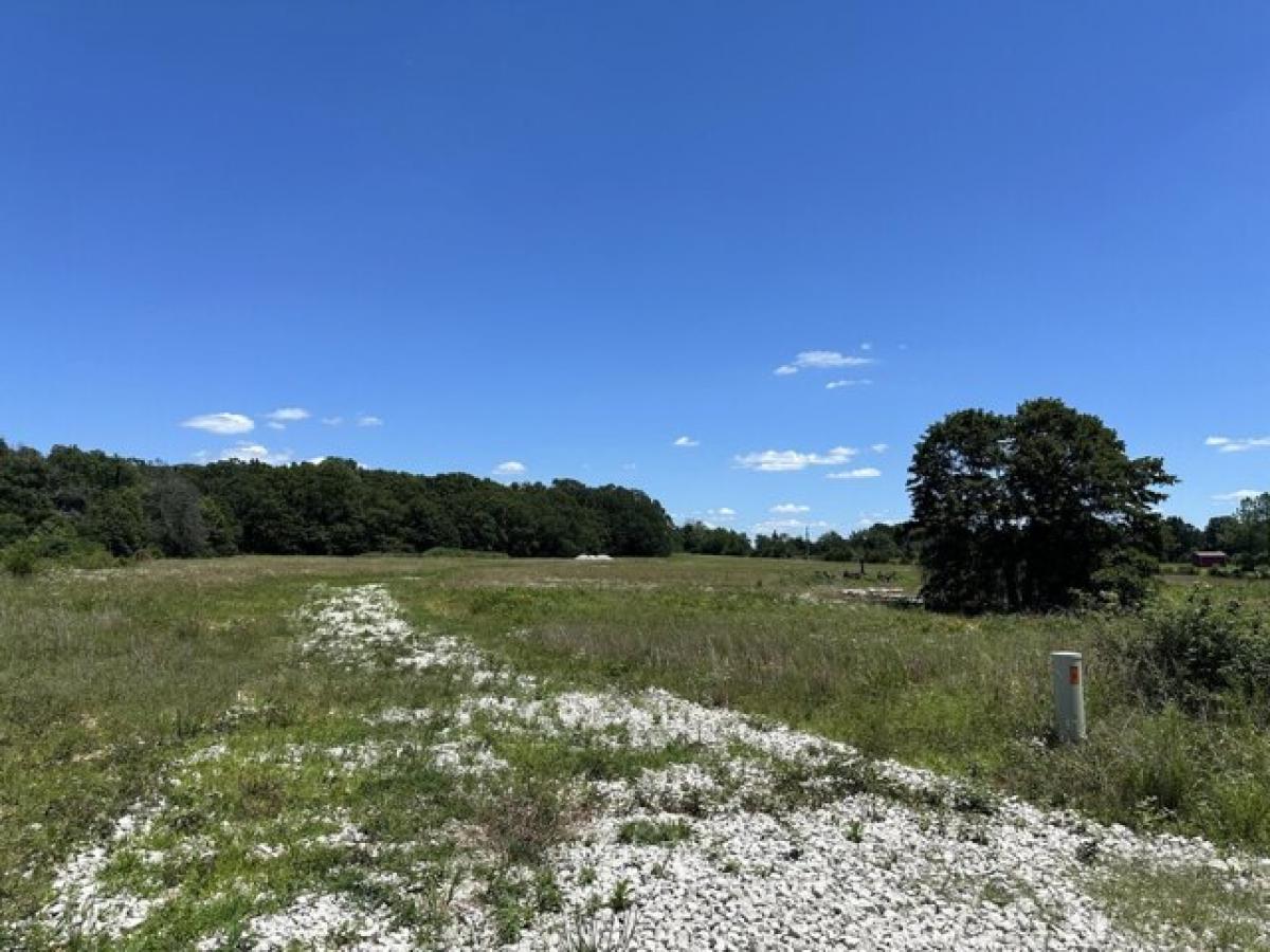 Picture of Residential Land For Sale in Buffalo, Missouri, United States