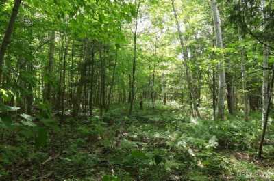 Residential Land For Sale in Grand Marais, Michigan