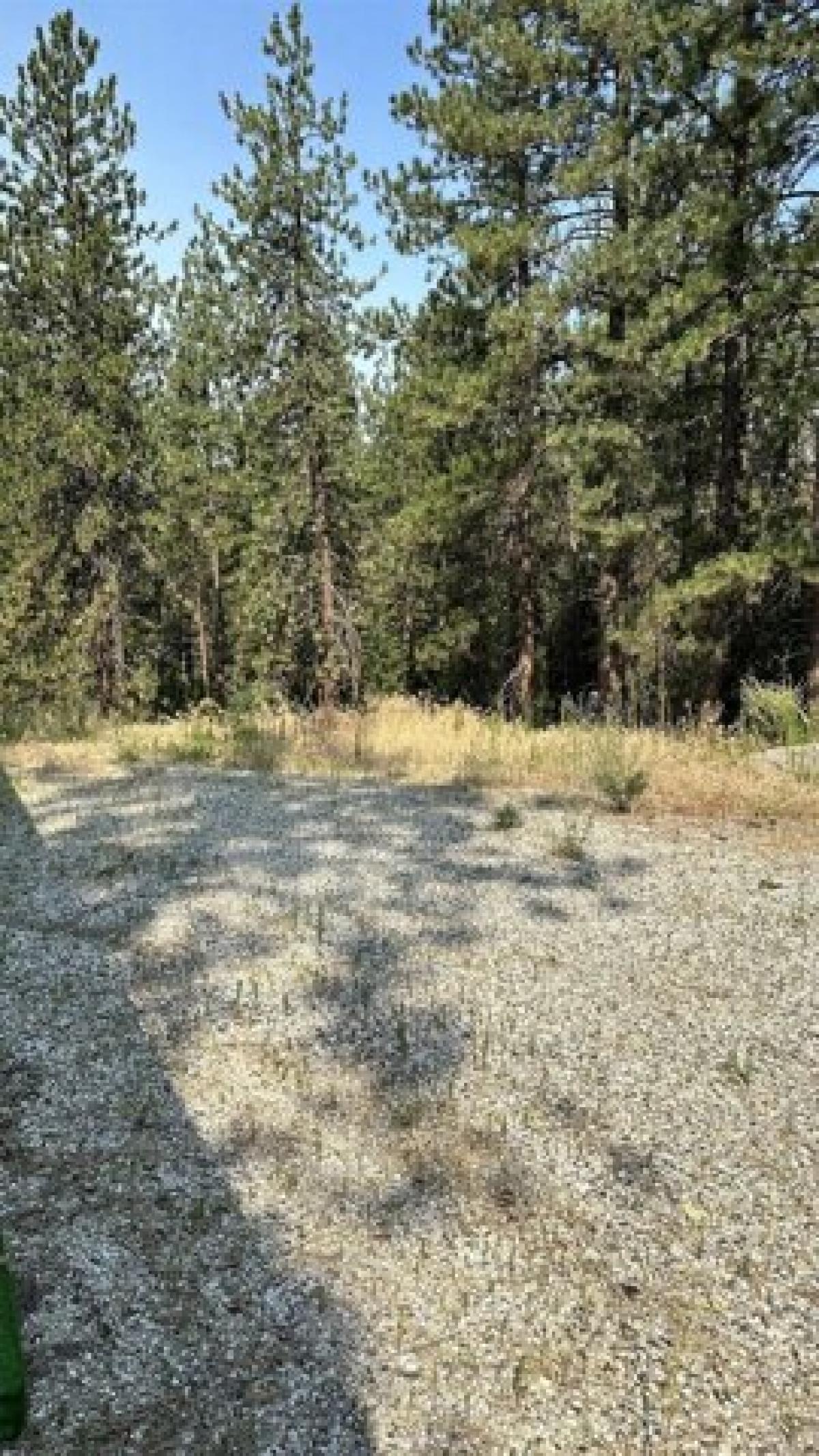 Picture of Residential Land For Sale in Valley, Washington, United States