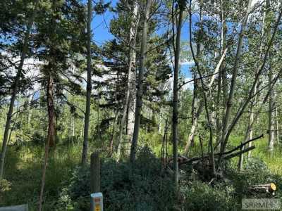 Residential Land For Sale in Island Park, Idaho