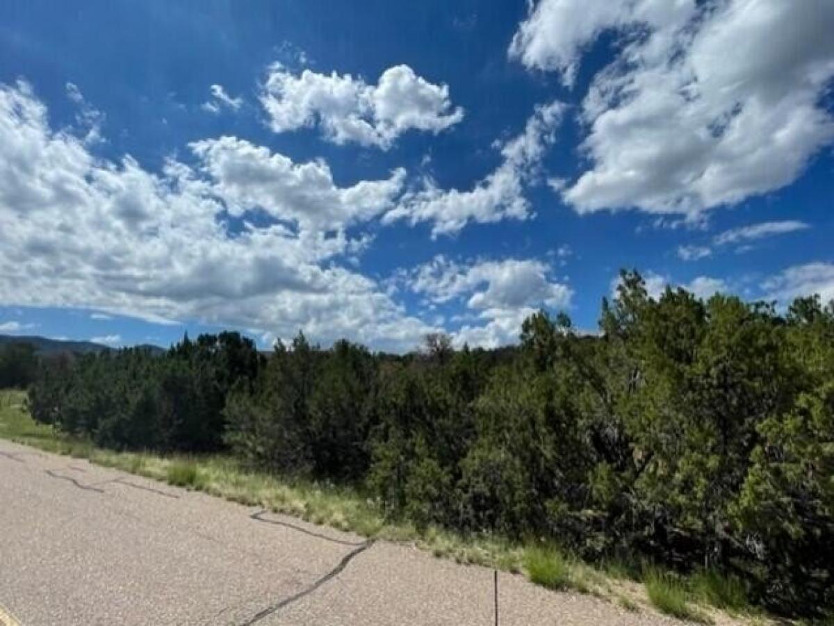 Picture of Residential Land For Sale in Sandia Park, New Mexico, United States