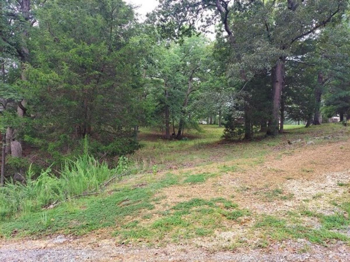 Picture of Residential Land For Sale in Springville, Tennessee, United States