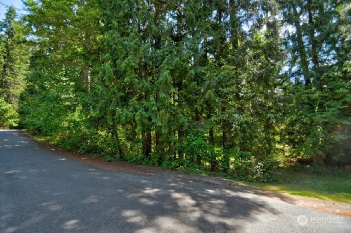 Picture of Residential Land For Sale in Yelm, Washington, United States