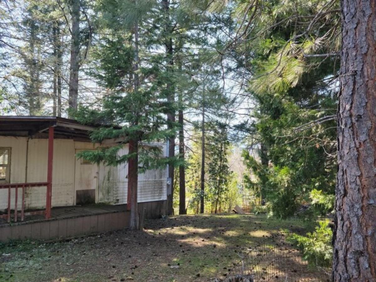 Picture of Home For Sale in Cave Junction, Oregon, United States