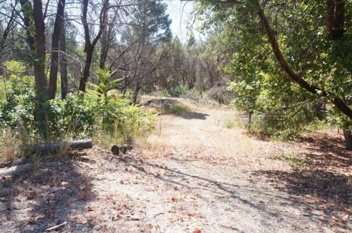 Picture of Residential Land For Sale in Junction City, California, United States