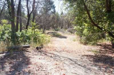 Residential Land For Sale in Junction City, California