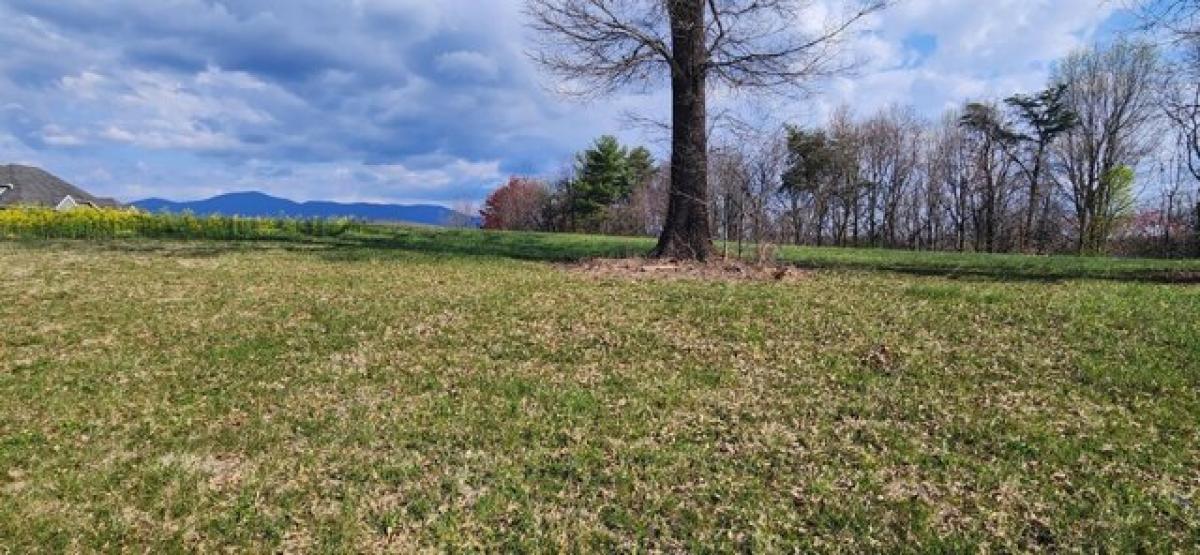 Picture of Residential Land For Sale in Rocky Mount, Virginia, United States