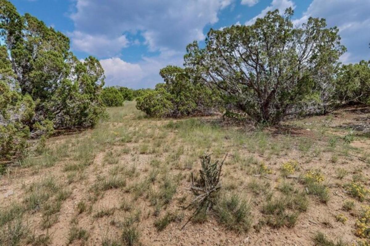 Picture of Residential Land For Sale in Santa Fe, New Mexico, United States