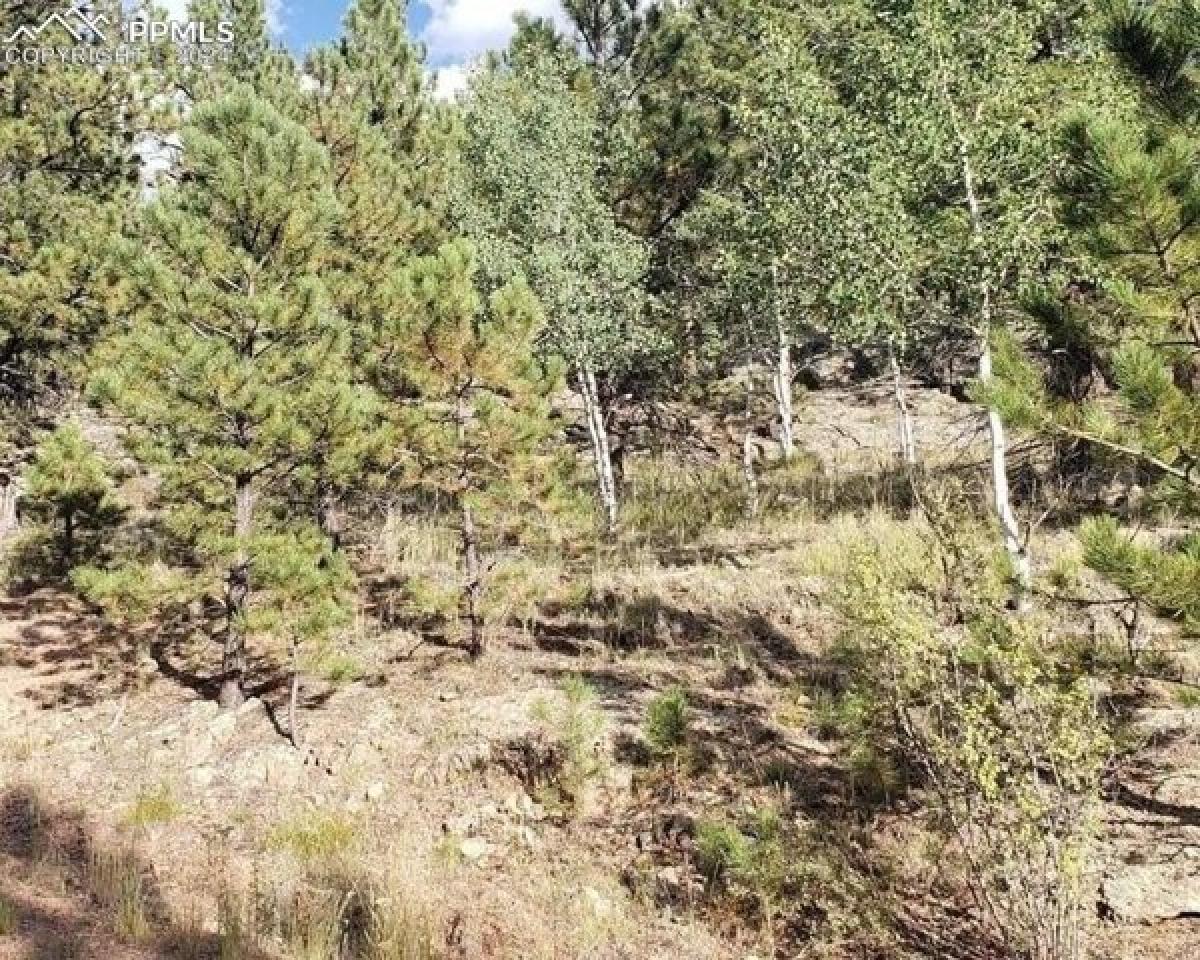 Picture of Residential Land For Sale in Florissant, Colorado, United States