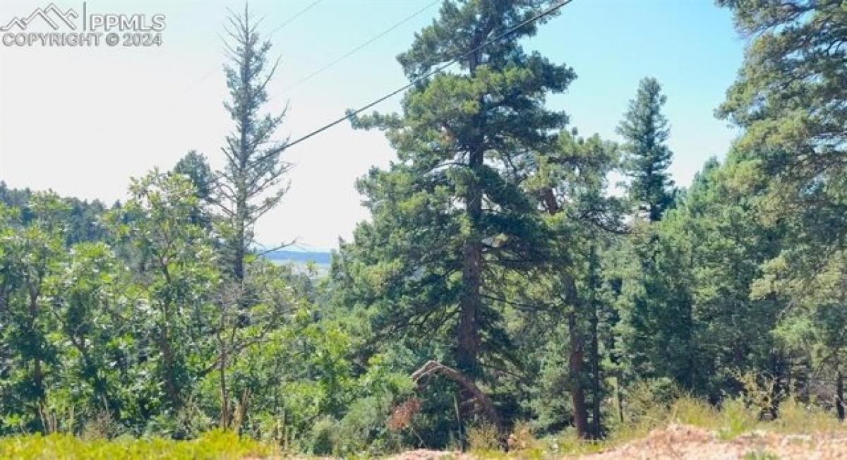 Picture of Residential Land For Sale in Larkspur, Colorado, United States