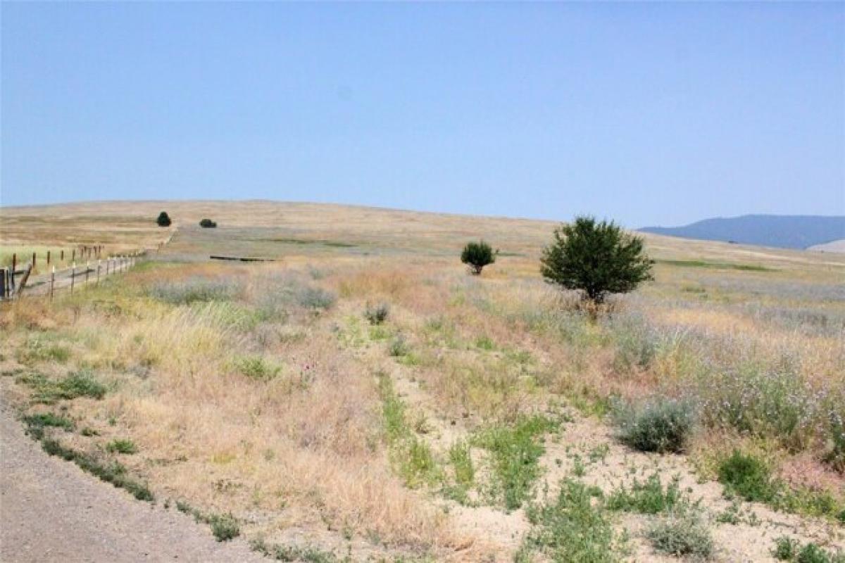 Picture of Residential Land For Sale in Missoula, Montana, United States