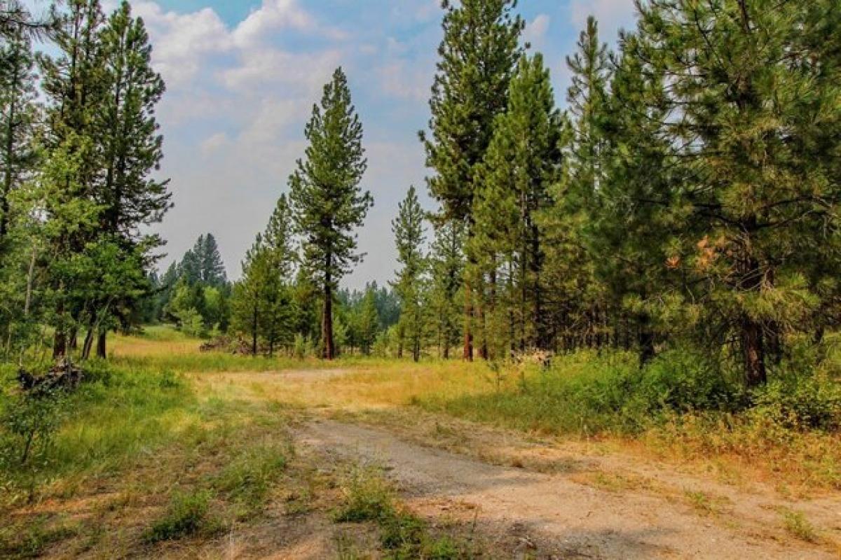 Picture of Residential Land For Sale in Cascade, Idaho, United States