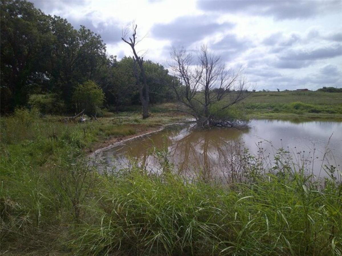 Picture of Residential Land For Sale in Bowie, Texas, United States