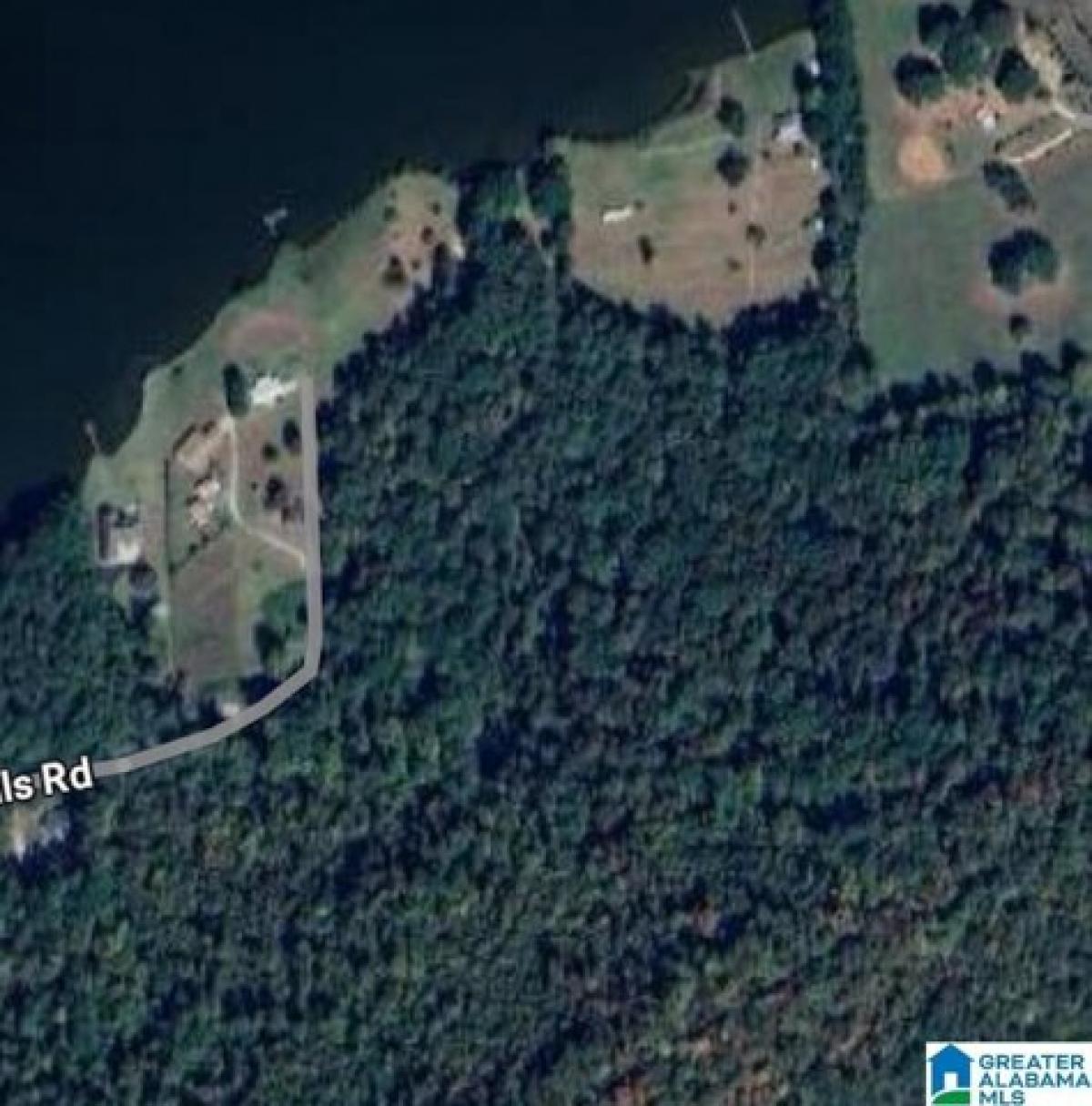 Picture of Residential Land For Sale in Ohatchee, Alabama, United States