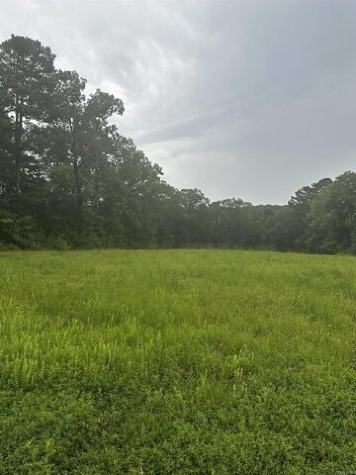 Picture of Residential Land For Sale in Shirley, Arkansas, United States