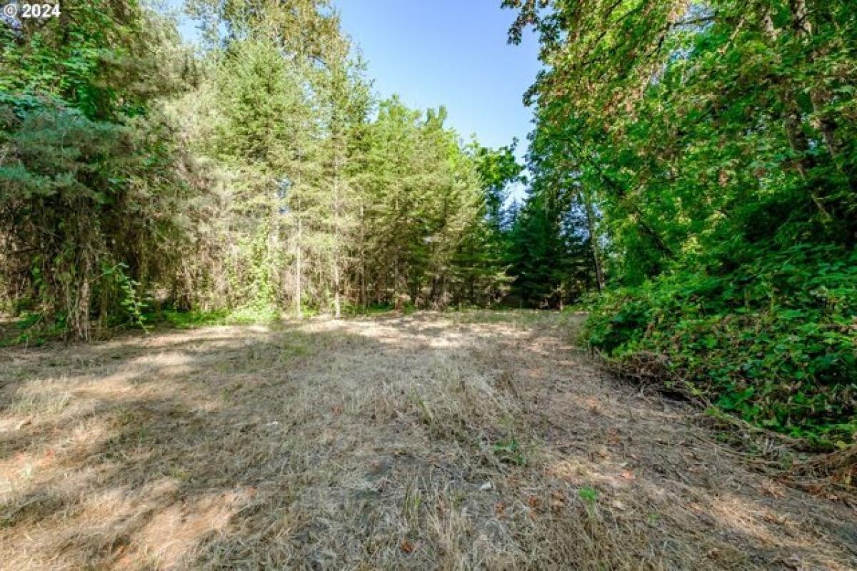 Picture of Residential Land For Sale in Gervais, Oregon, United States