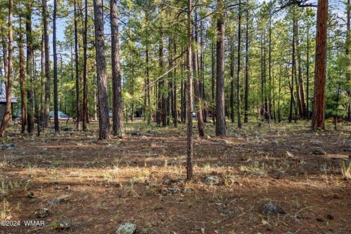 Picture of Residential Land For Sale in Pinetop, Arizona, United States