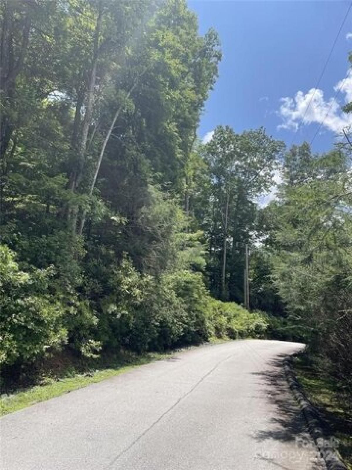 Picture of Residential Land For Sale in Burnsville, North Carolina, United States