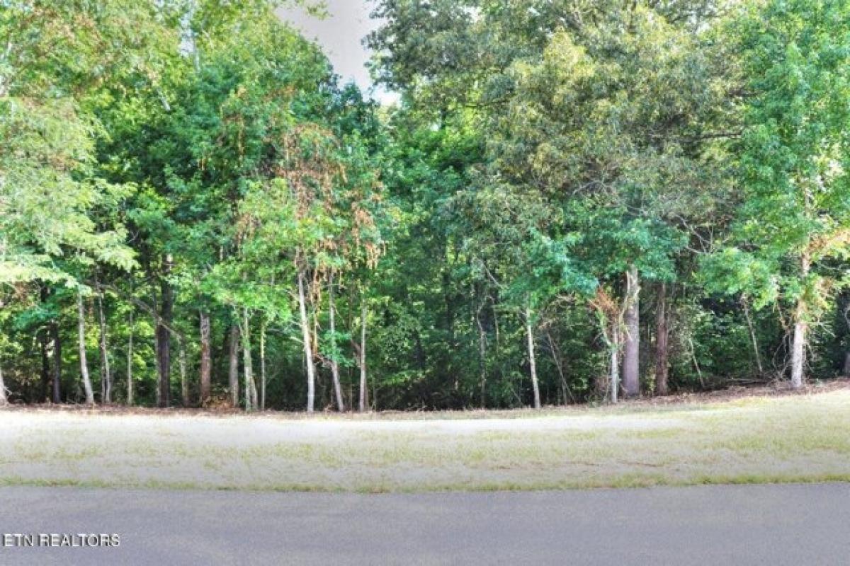 Picture of Residential Land For Sale in Rockwood, Tennessee, United States