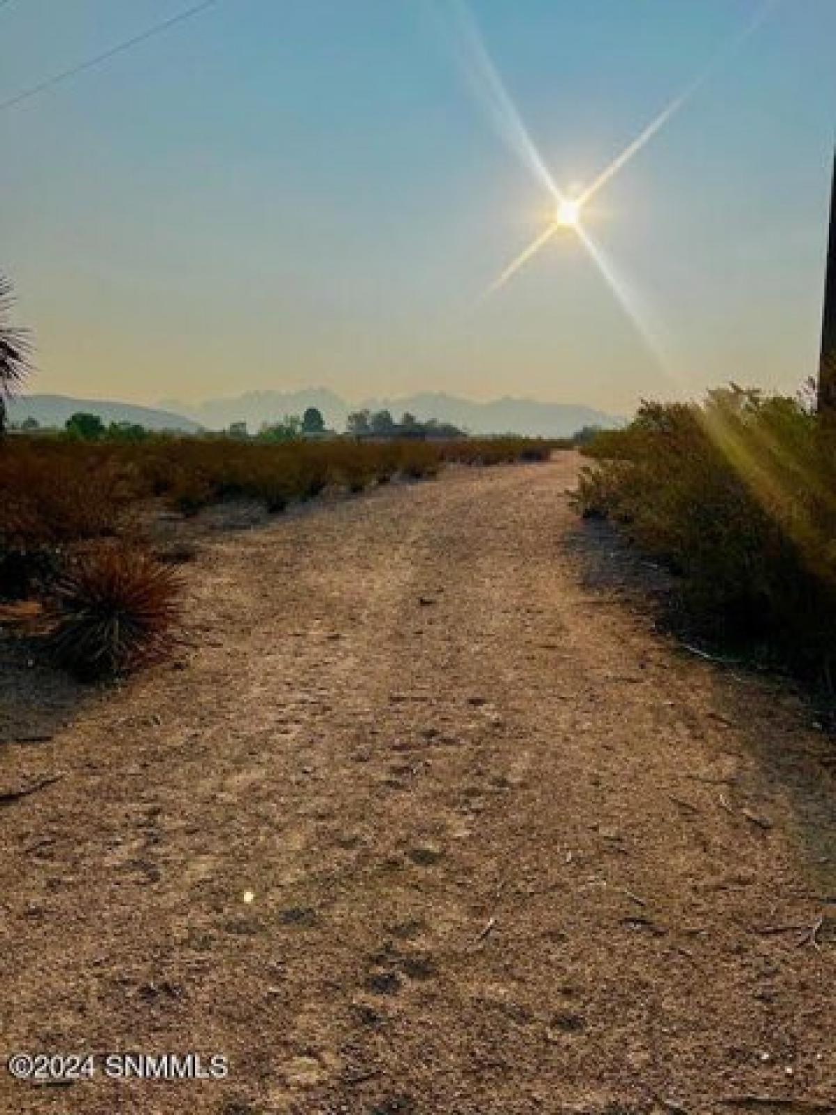 Picture of Residential Land For Sale in Las Cruces, New Mexico, United States