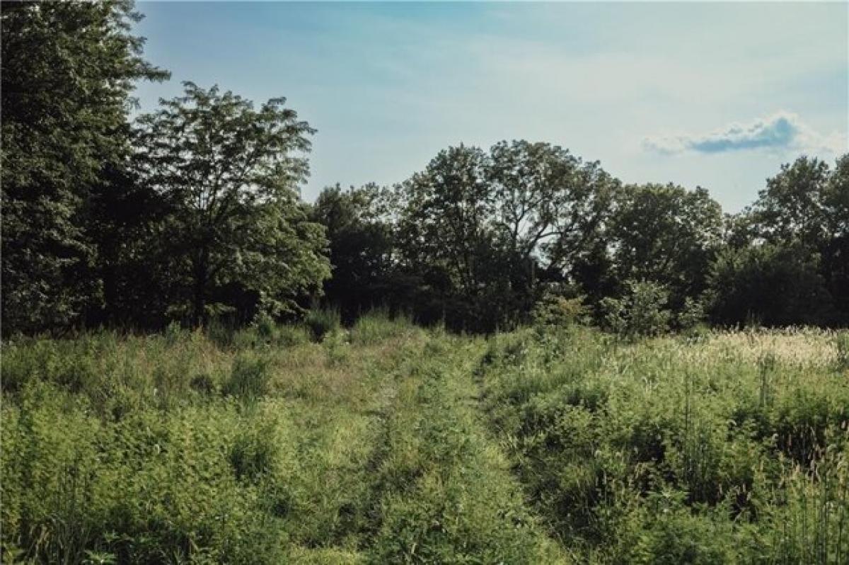 Picture of Residential Land For Sale in Garden City, Missouri, United States