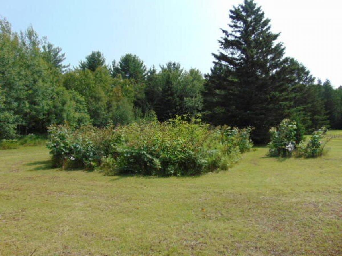 Picture of Residential Land For Sale in Newberry, Michigan, United States