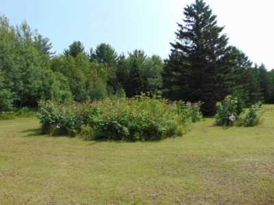 Residential Land For Sale in Newberry, Michigan