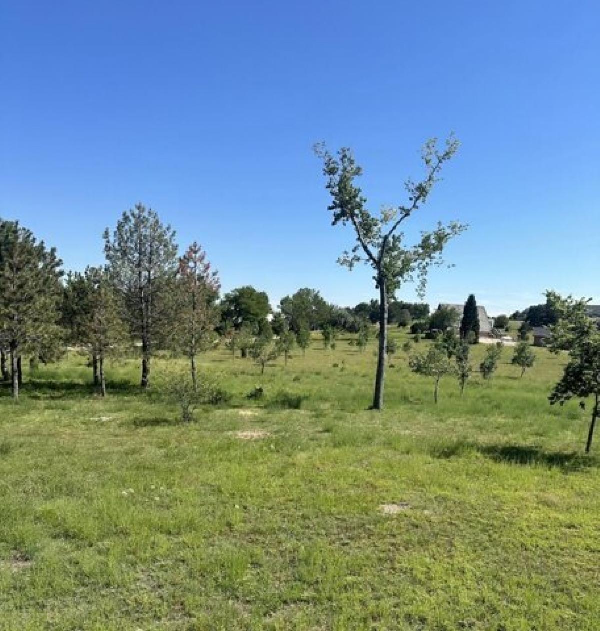 Picture of Residential Land For Sale in Brule, Nebraska, United States