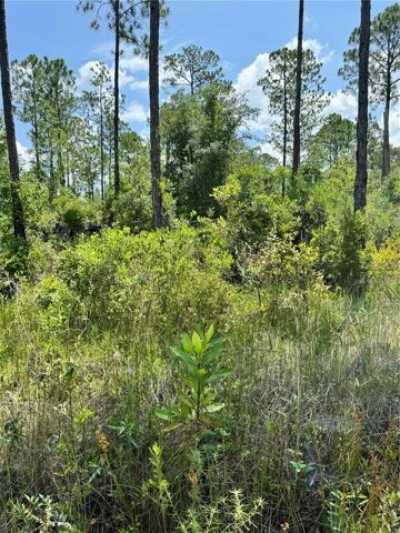 Residential Land For Sale in Satsuma, Florida