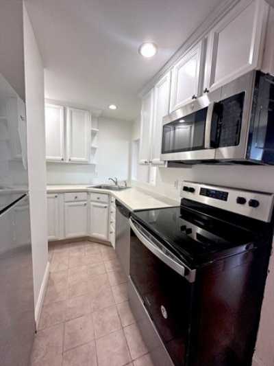 Apartment For Rent in Newton, Massachusetts