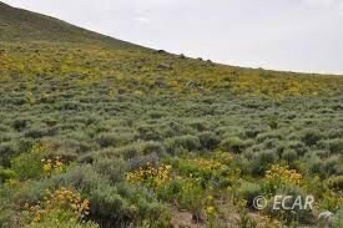 Picture of Residential Land For Sale in Spring Creek, Nevada, United States