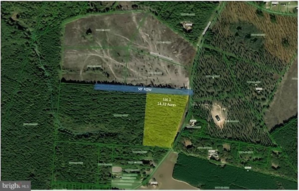 Picture of Residential Land For Sale in Beaverdam, Virginia, United States