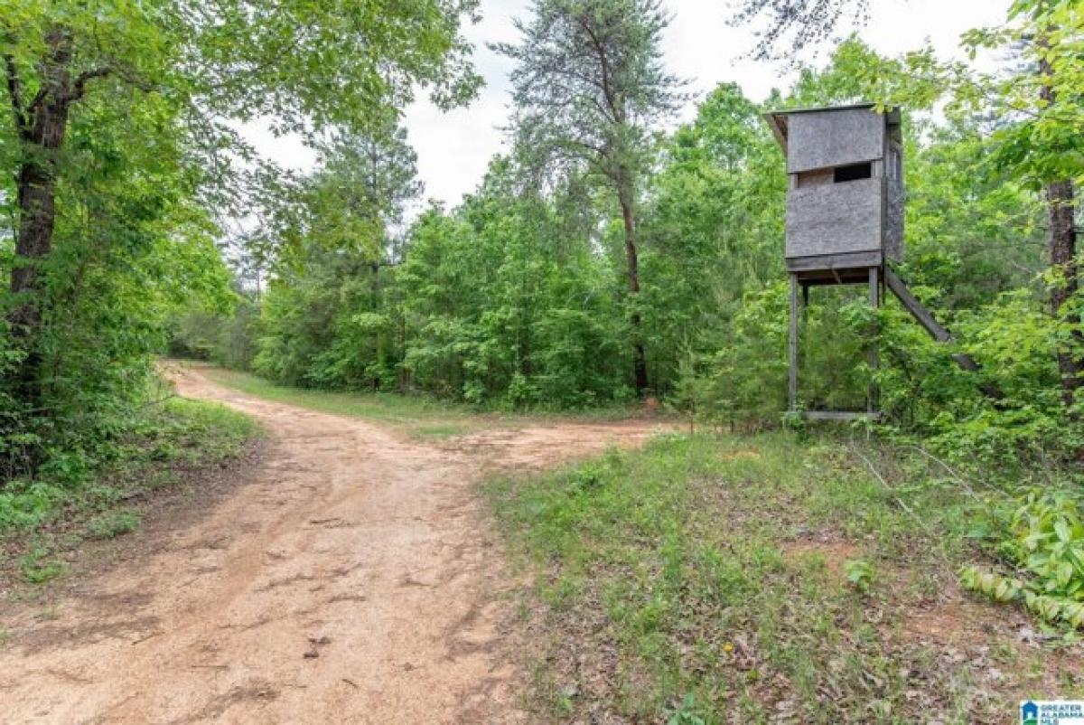 Picture of Residential Land For Sale in Adger, Alabama, United States