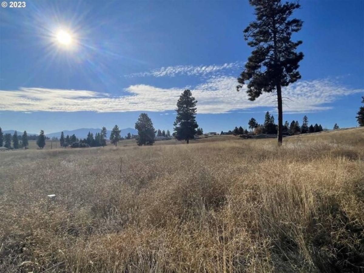 Picture of Residential Land For Sale in Chiloquin, Oregon, United States