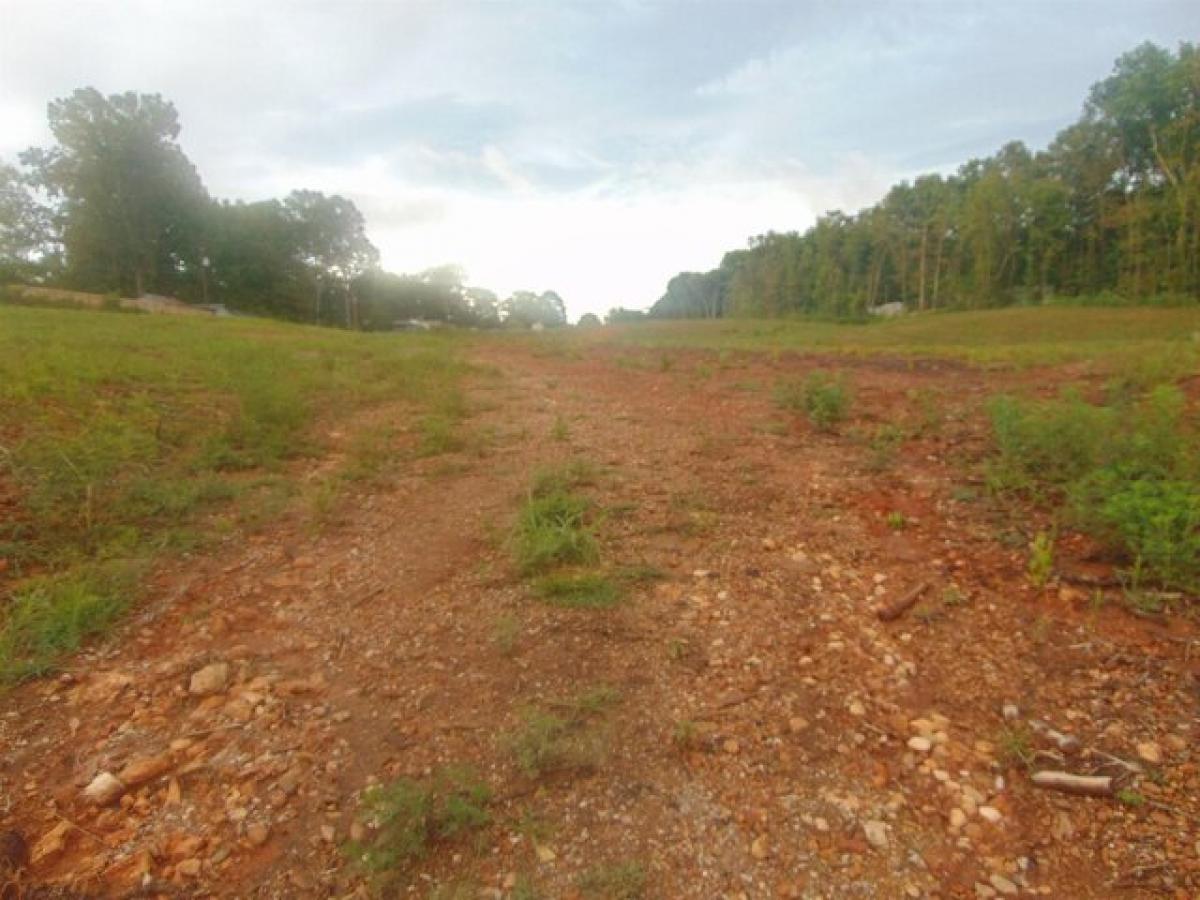 Picture of Residential Land For Sale in Florence, Alabama, United States