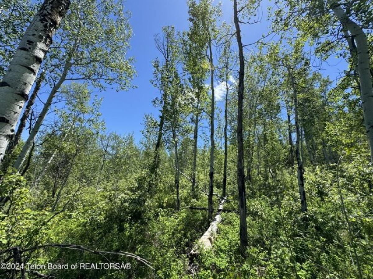 Picture of Residential Land For Sale in Jackson, Wyoming, United States