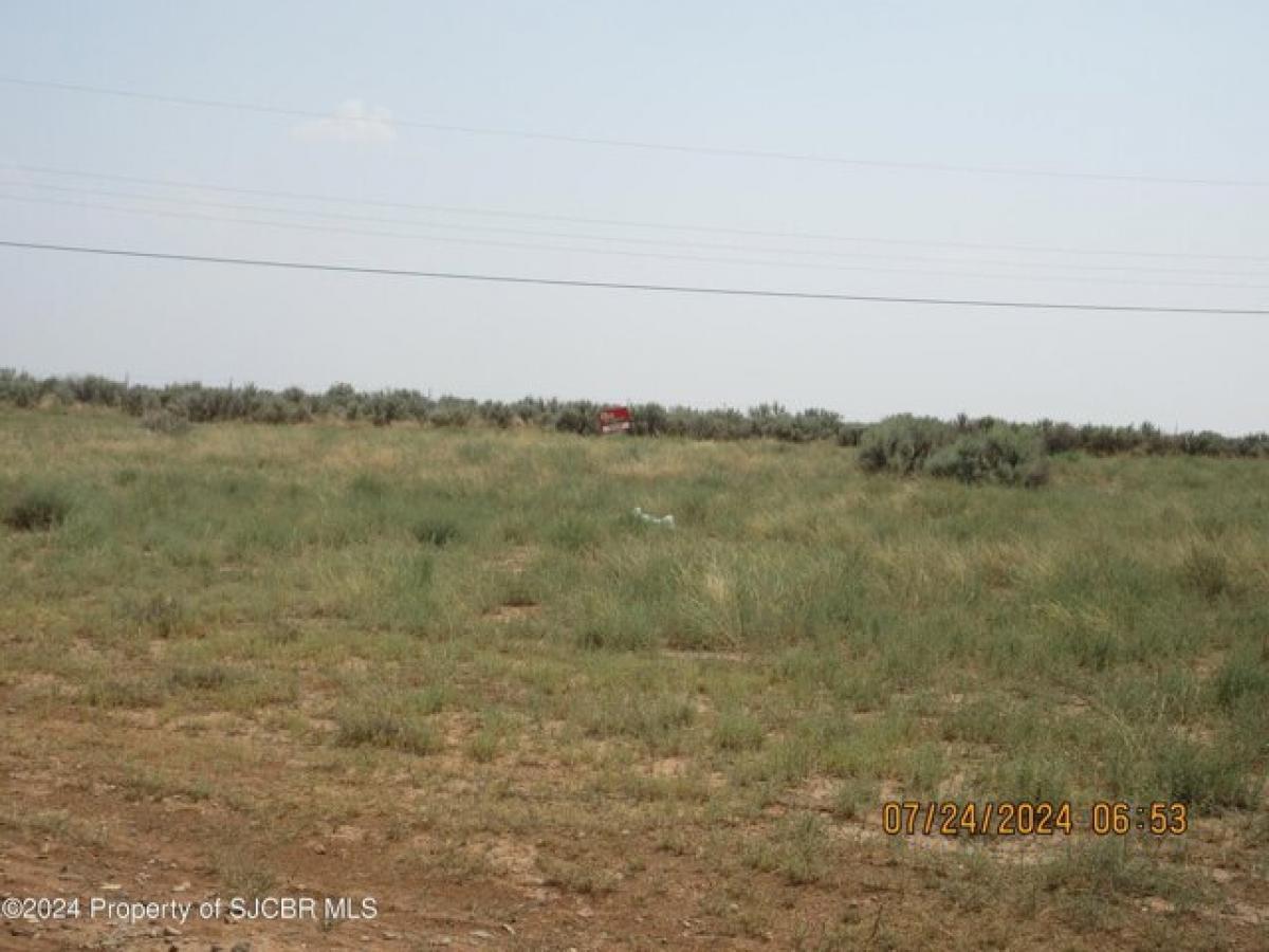 Picture of Residential Land For Sale in La Plata, New Mexico, United States