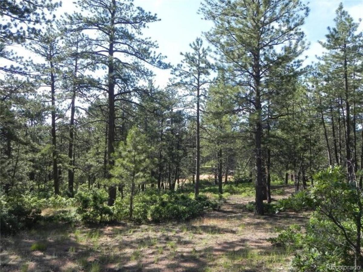 Picture of Residential Land For Sale in Larkspur, Colorado, United States