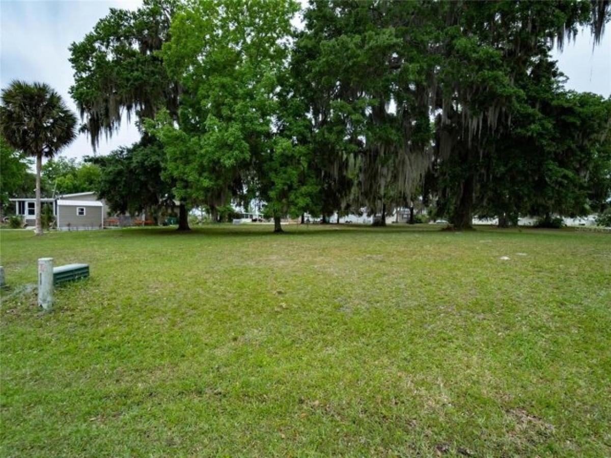 Picture of Residential Land For Sale in Wildwood, Florida, United States