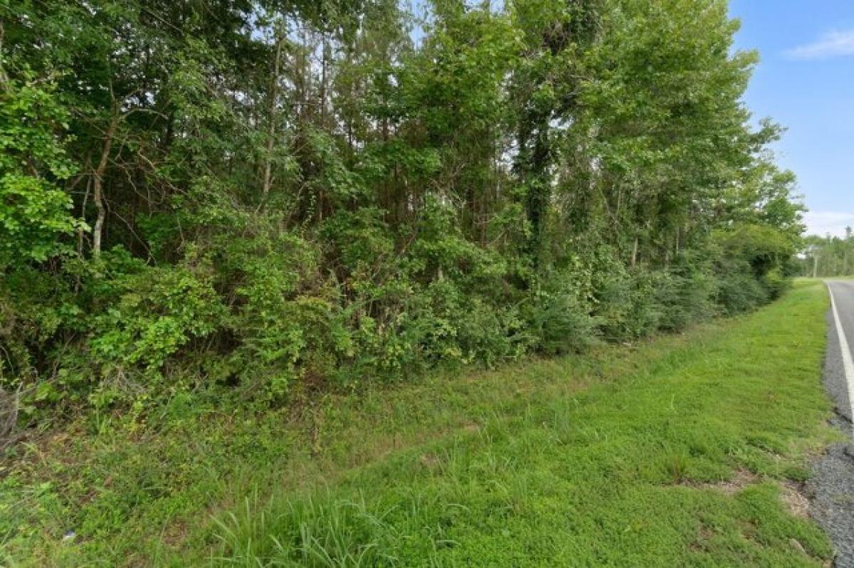 Picture of Residential Land For Sale in Pinola, Mississippi, United States