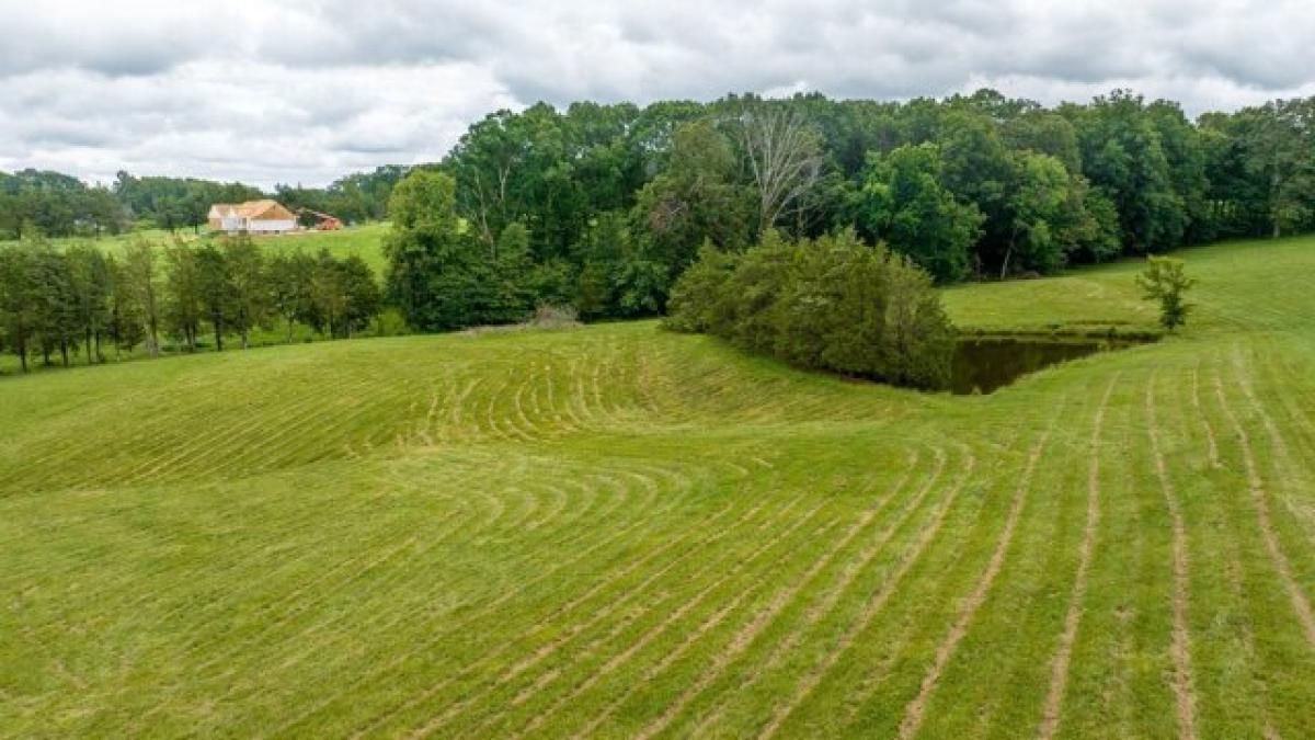 Picture of Residential Land For Sale in Burns, Tennessee, United States