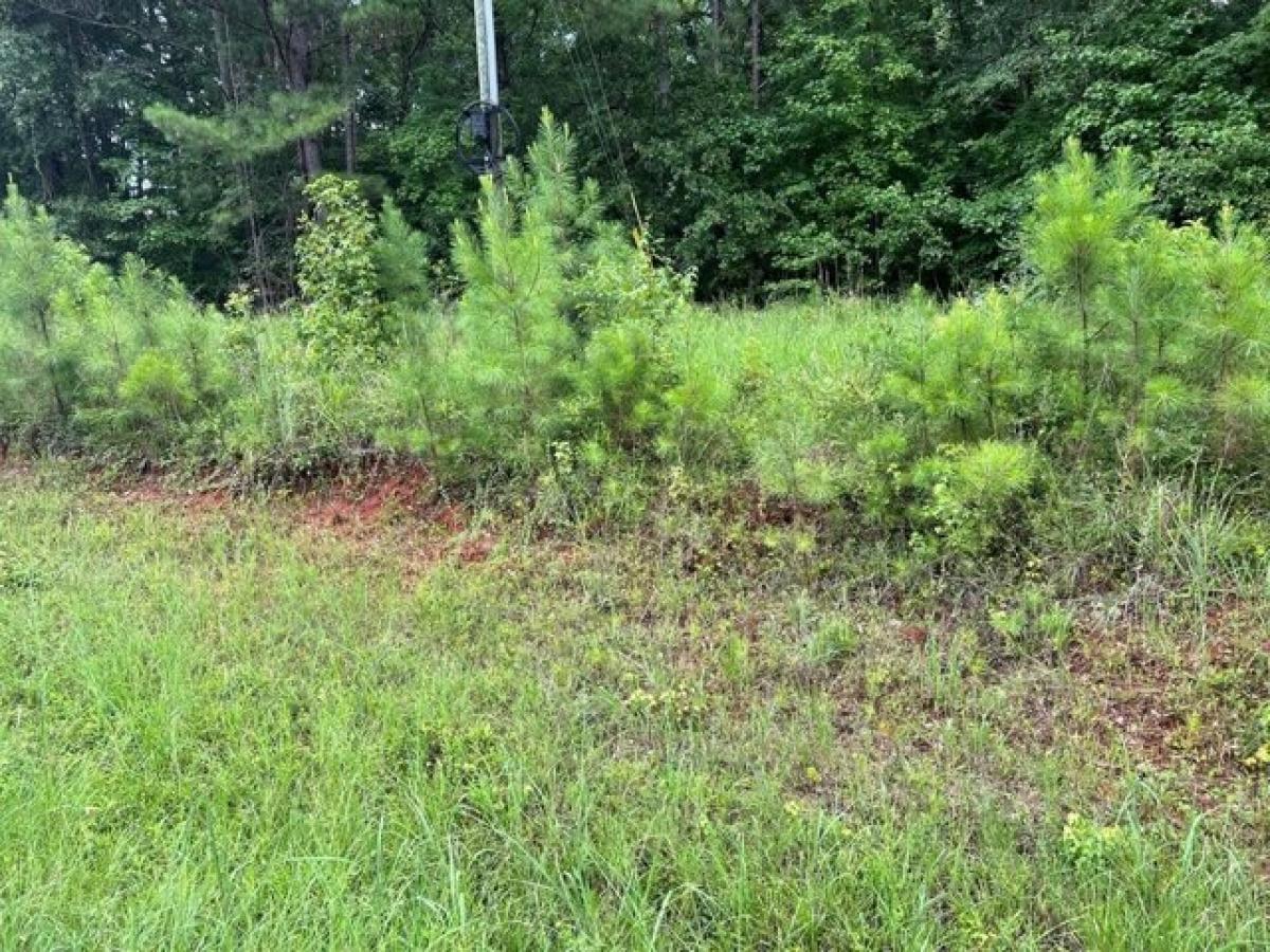 Picture of Residential Land For Sale in Milledgeville, Georgia, United States