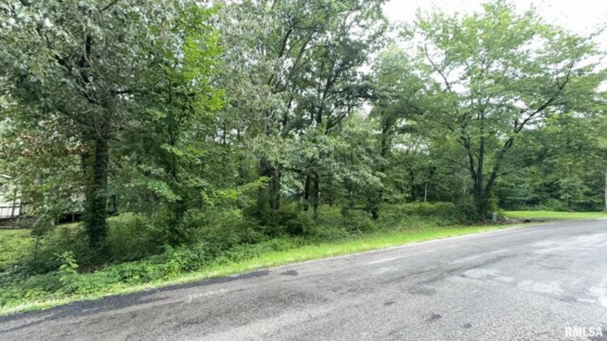 Picture of Residential Land For Sale in Benton, Illinois, United States