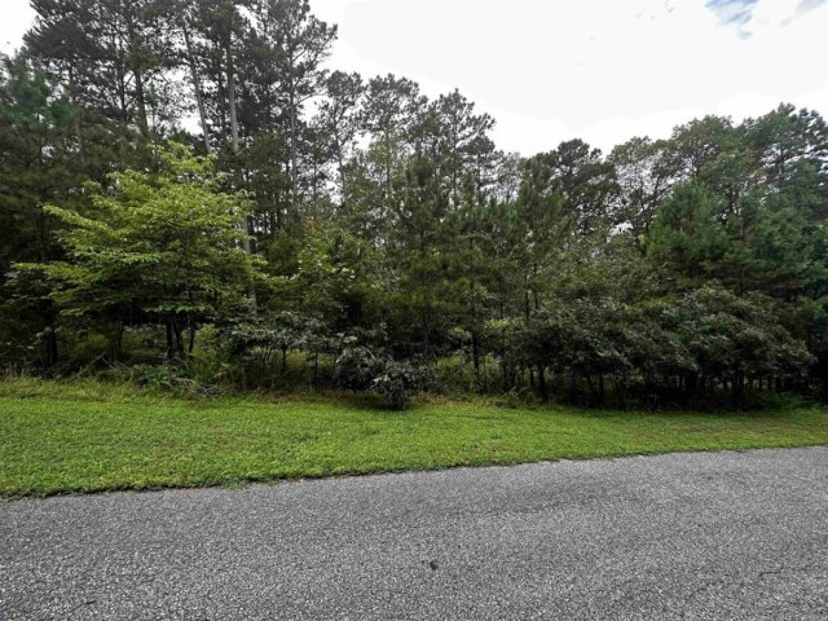 Picture of Residential Land For Sale in Shirley, Arkansas, United States