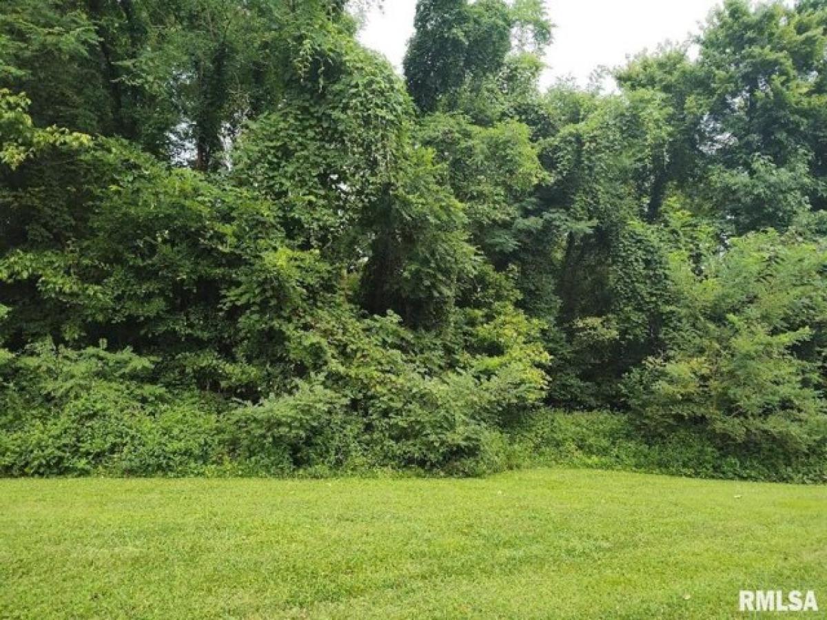 Picture of Residential Land For Sale in Villa Ridge, Illinois, United States